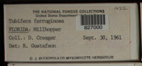 Image Associated With the Occurence
